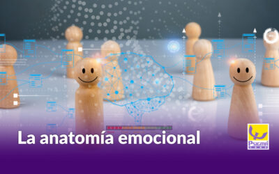 la anatomía emocional de las organizaciones que perduran