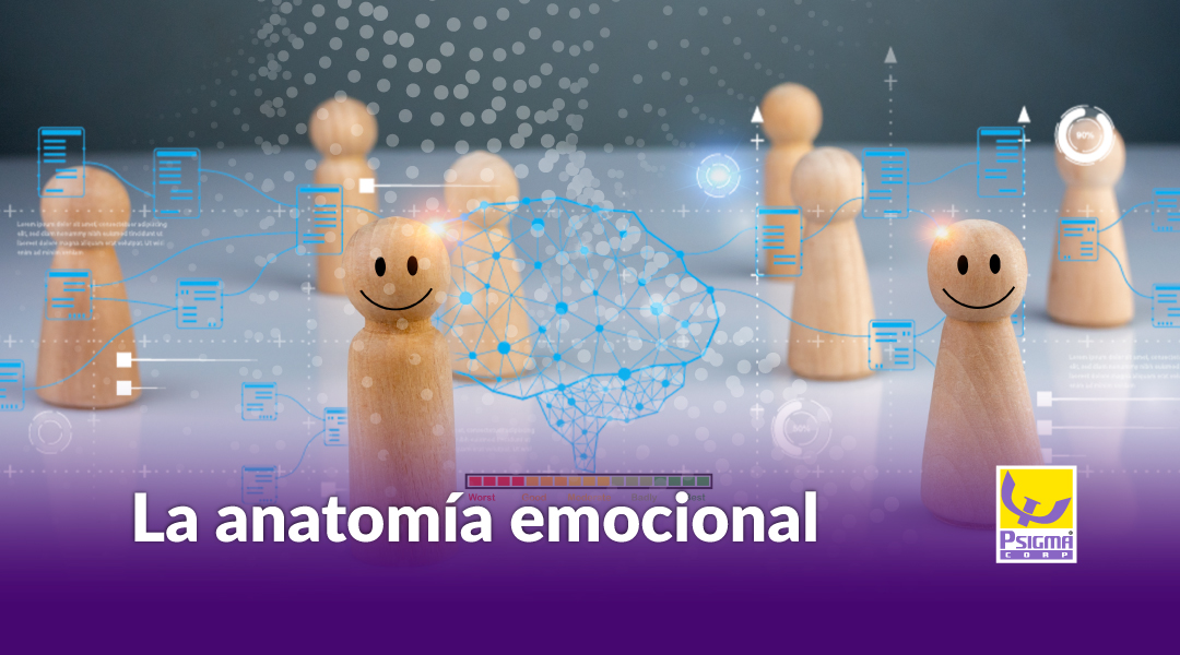 la anatomia emocional la anatomia emocional