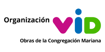 logo VID
