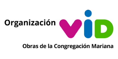 logo VID